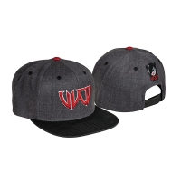 Wicked - Logo Cap