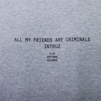 Intruz - Criminals T-Shirt - Szary